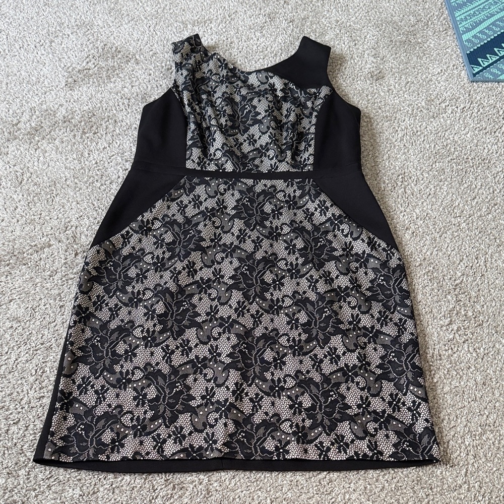 Sandra Darren Dress in Black and Cream Lace